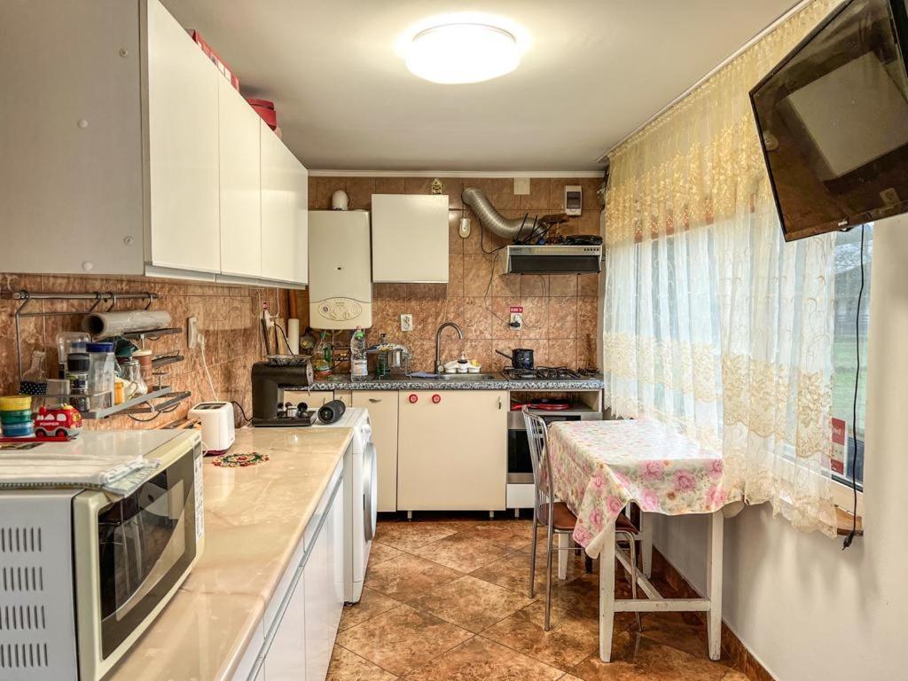 Отель Casa Petruta Dambovicioara Podu Dimbovitei Экстерьер фото