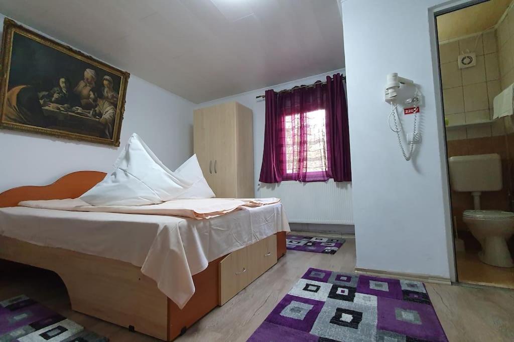 Отель Casa Petruta Dambovicioara Podu Dimbovitei Экстерьер фото