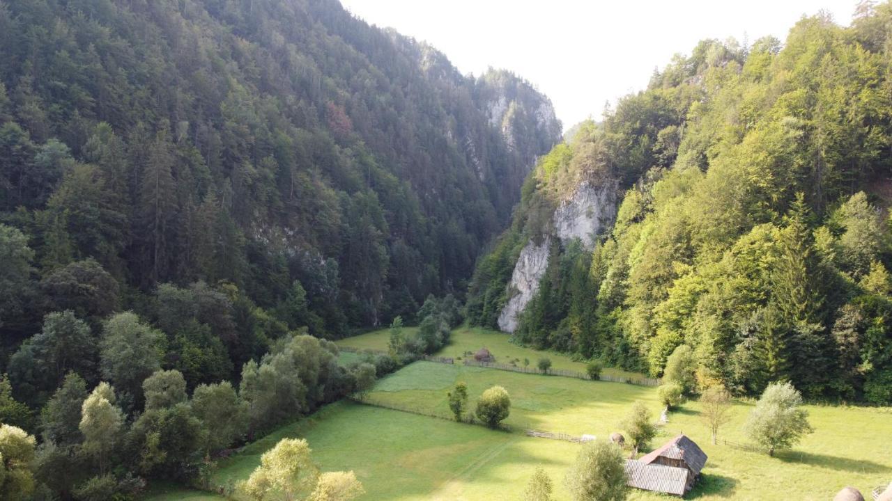 Отель Casa Petruta Dambovicioara Podu Dimbovitei Экстерьер фото
